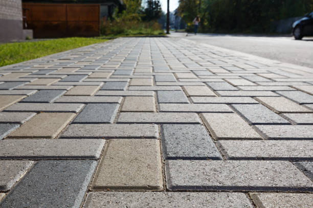 Best Professional Driveway Pavers  in Tidmore Bend, AL