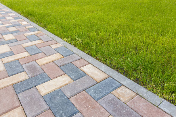 Best Driveway Paving Contractor  in Tidmore Bend, AL